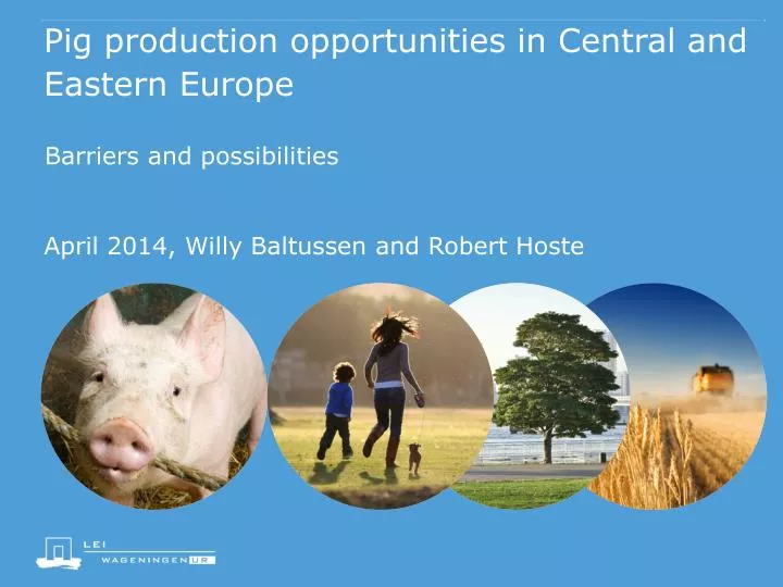 pig production opportunities in central and eastern europe