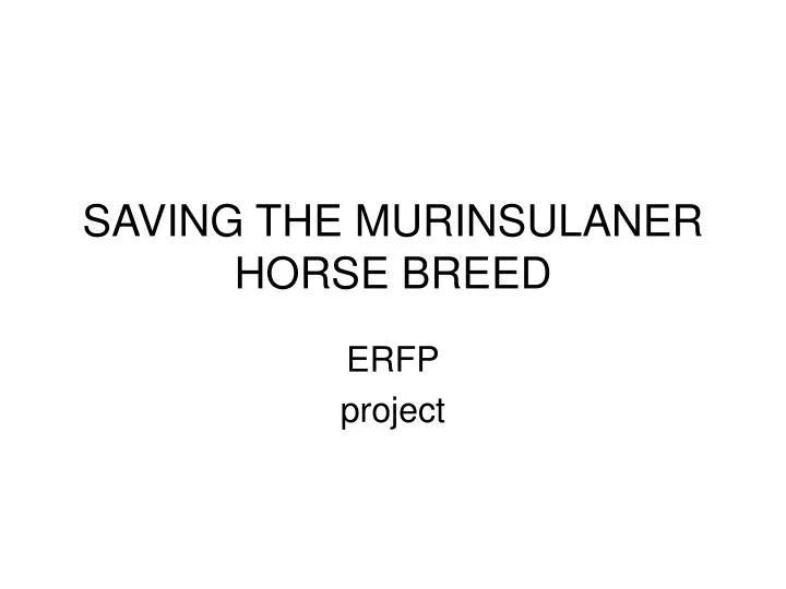 saving the murinsulaner horse breed