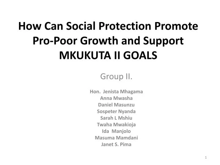 how can social protection promote pro poor growth and support mkukuta ii goals