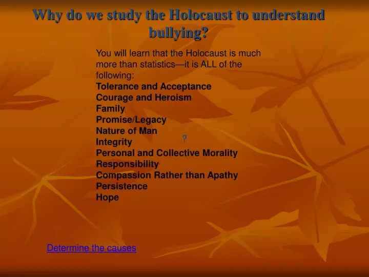 why do we study the holocaust to understand bullying