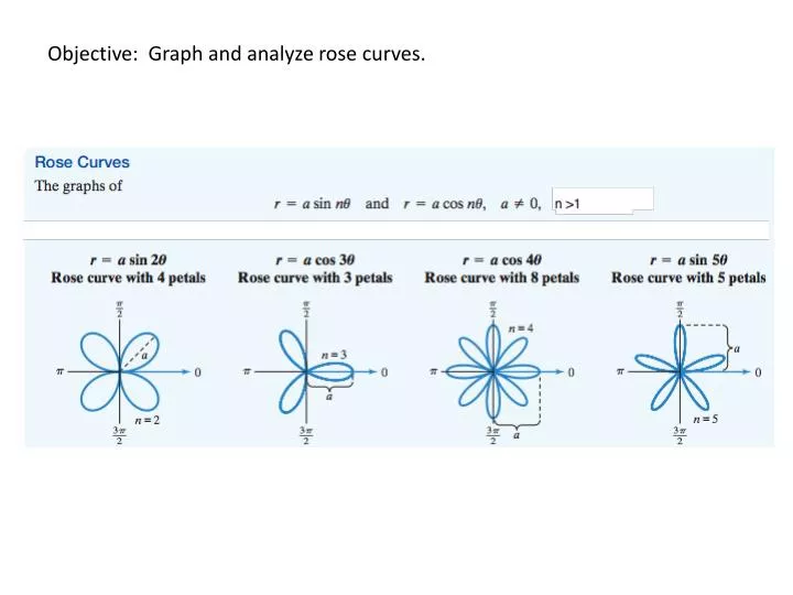 objective graph and analyze rose curves