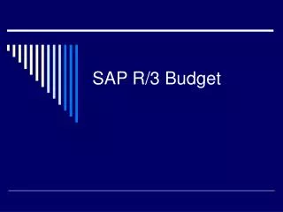 SAP R/3 Budget