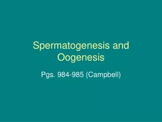 spermatogenesis and oogenesis