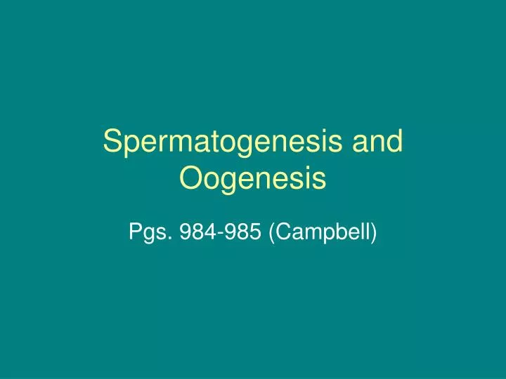 spermatogenesis and oogenesis