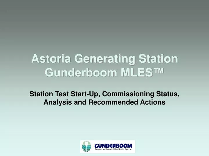 astoria generating station gunderboom mles