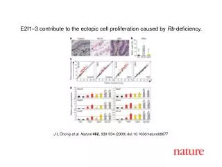 J-L Chong et al. Nature 462 , 930-934 (2009) doi:10.1038/nature08677