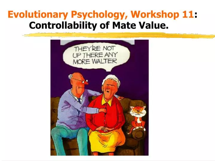 evolutionary psychology workshop 11 controllability of mate value