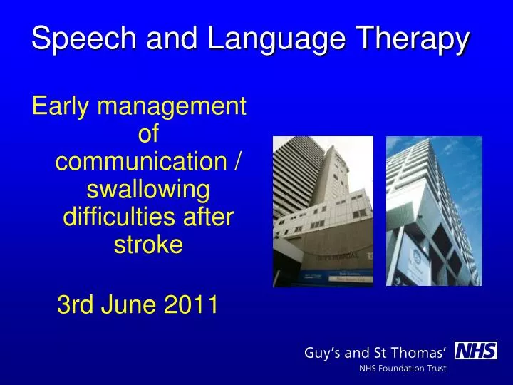 speech and language therapy