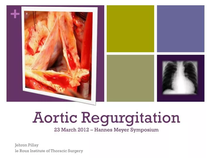 aortic regurgitation 23 march 2012 hannes meyer symposium