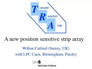 A new position sensitive strip array