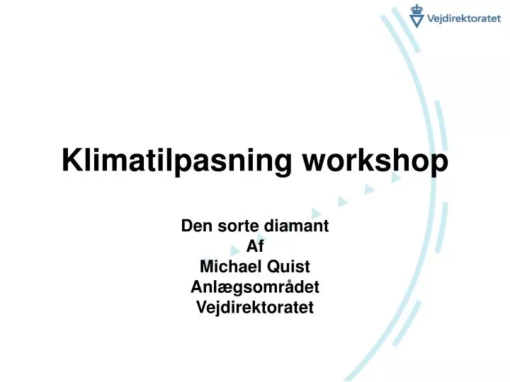 klimatilpasning workshop