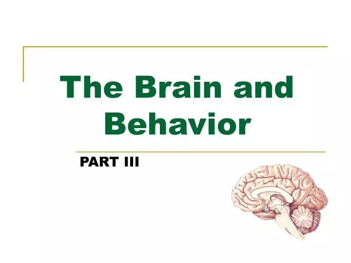 the brain and behavior