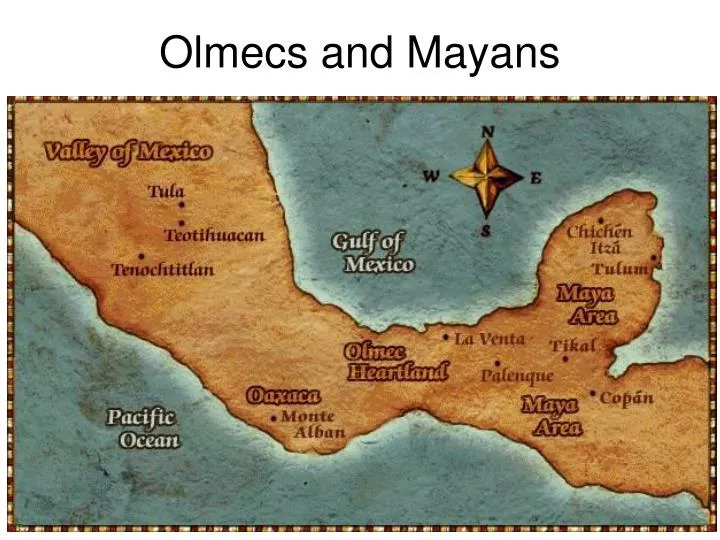 olmecs and mayans