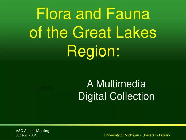 flora and fauna of the great lakes region