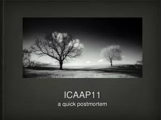 ICAAP11