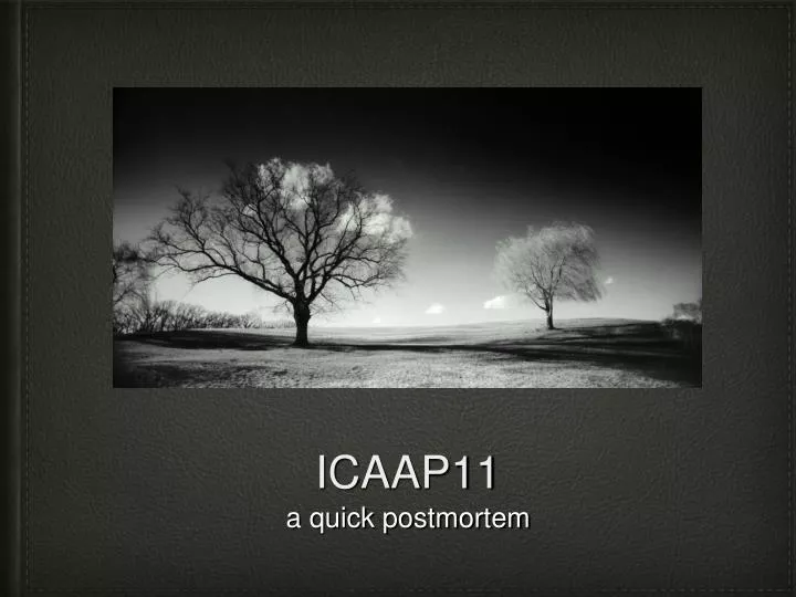 icaap11