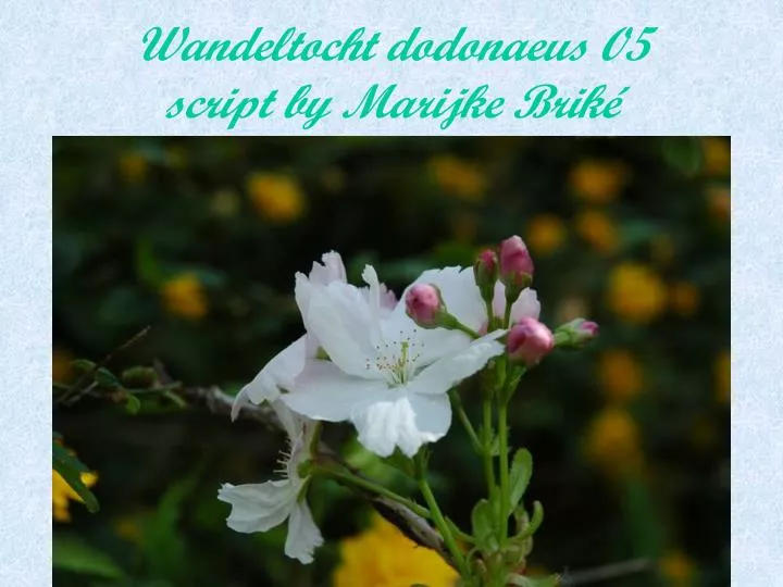 wandeltocht dodonaeus 05 script by marijke brik