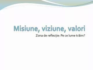 misiune viziune valori