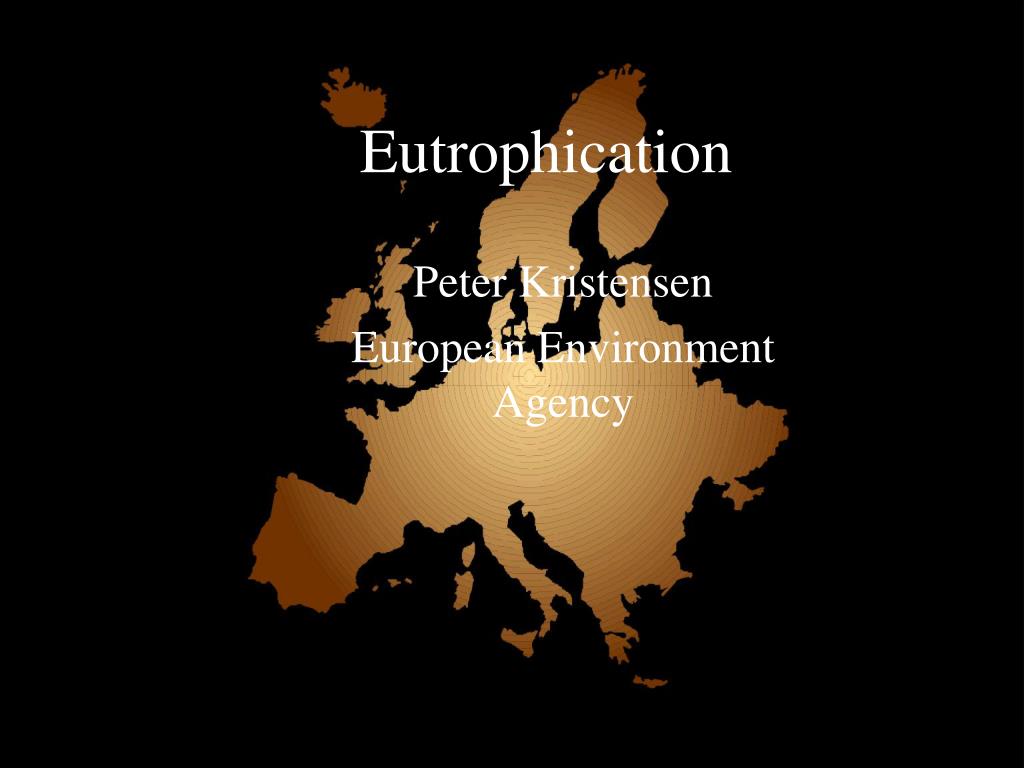 PPT - Eutrophication PowerPoint Presentation, free download - ID:6024858