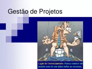 gest o de projetos