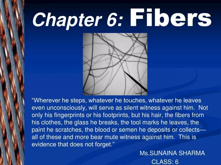chapter 6 fibers