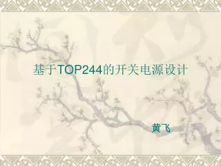 top244
