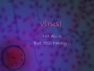 virus