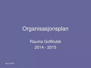 organisasjonsplan