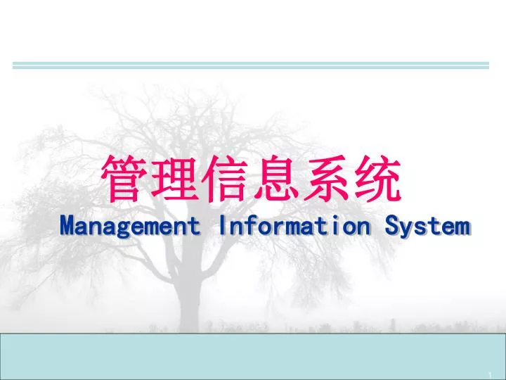 management information system