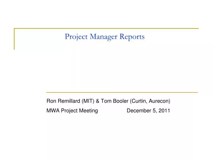 project manager reports