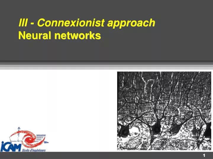 iii connexionist approach neural networks