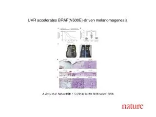 A Viros et al. Nature 000 , 1-5 (2014) doi:10.1038/nature13298