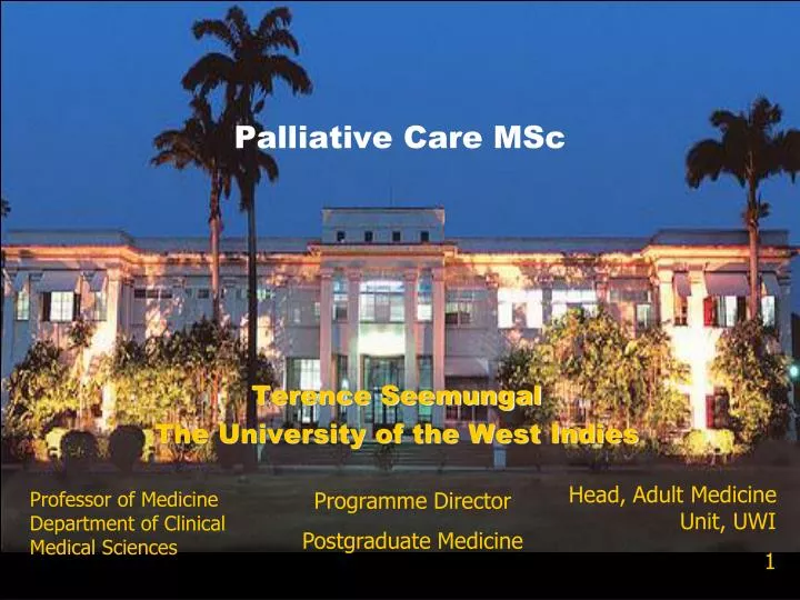 palliative care msc