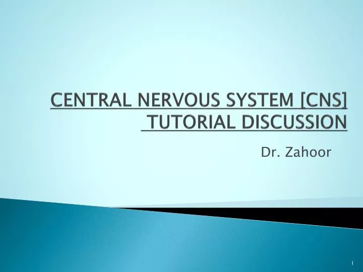 central nervous system cns tutorial discussion
