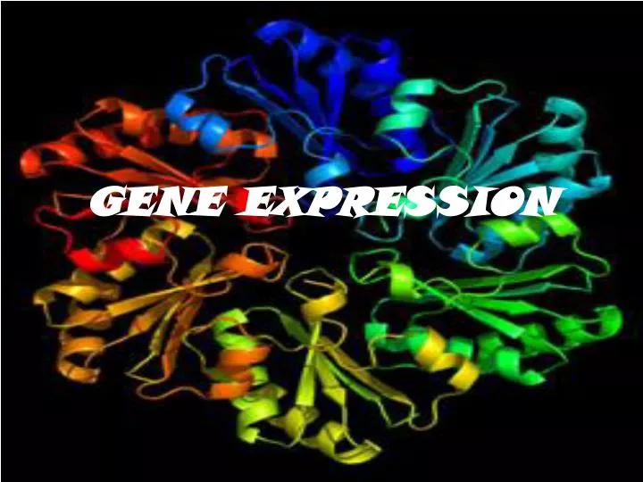 gene expression