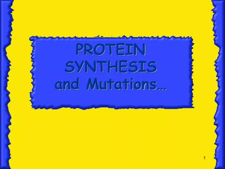 protein synthesis and mutations
