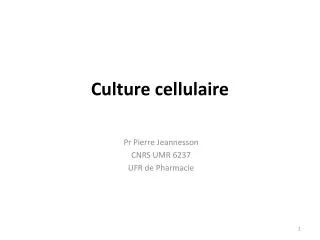 culture cellulaire