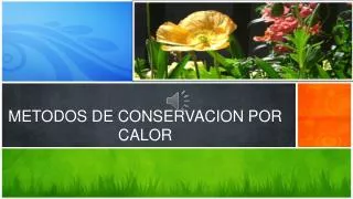 metodos de conservacion por calor