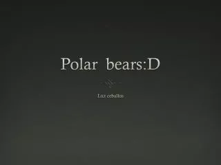 Polar bears:D