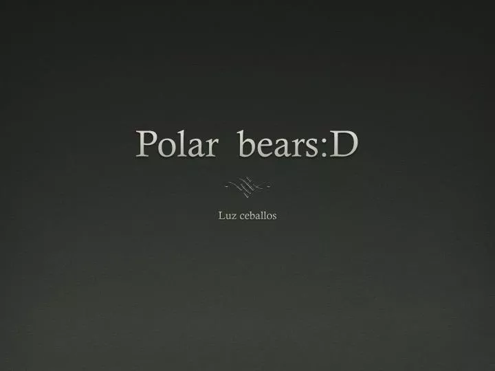 polar bears d