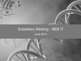 Subsidiary Meeting - NEB IT June 2013