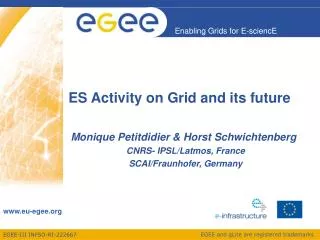 ES Activity on Grid and its future