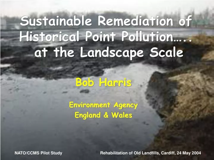 sustainable remediation of historical point pollution at the landscape scale