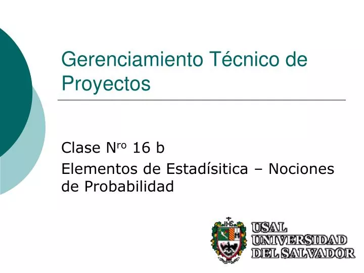 gerenciamiento t cnico de proyectos