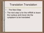 Translation Translation