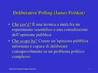 deliberative polling james fishkin