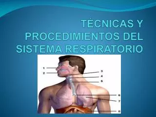 t cnicas y procedimientos del sistema respiratorio