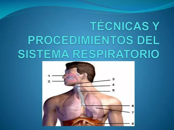 t cnicas y procedimientos del sistema respiratorio
