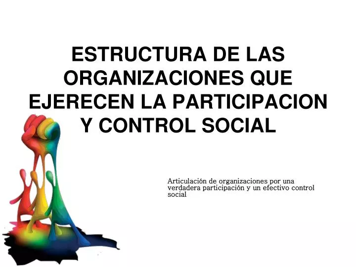 estructura de las organizaciones que ejerecen la participacion y control social