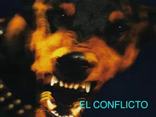 el conflicto